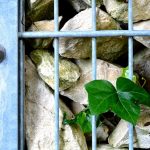 Doppelstabmattenzaun mit Pflanzen kombinieren